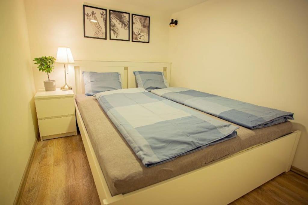 Cosy 2 Bedroom Flat In Akacfa St., Sol Budapesta Exterior foto