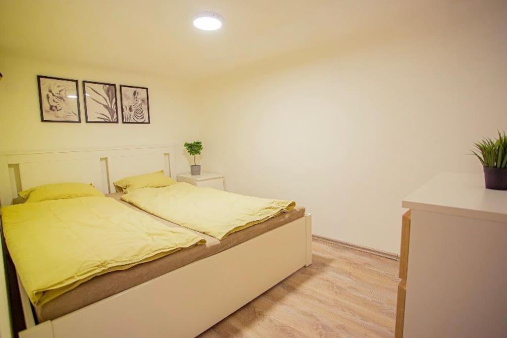 Cosy 2 Bedroom Flat In Akacfa St., Sol Budapesta Exterior foto